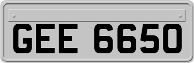 GEE6650