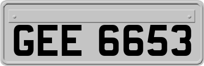 GEE6653