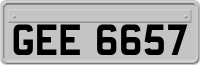 GEE6657