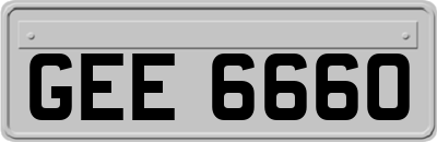 GEE6660