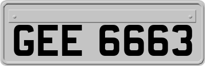 GEE6663