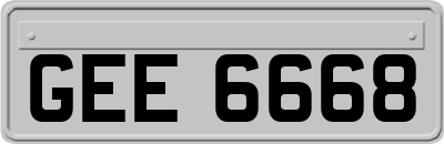 GEE6668