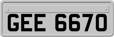 GEE6670