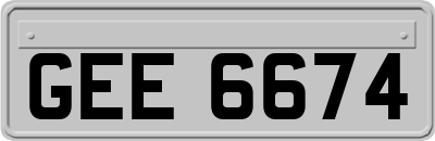GEE6674