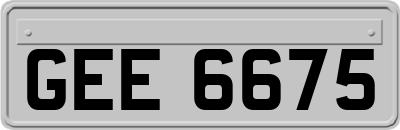 GEE6675