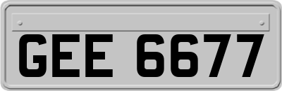 GEE6677