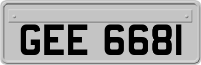 GEE6681