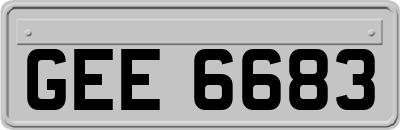 GEE6683