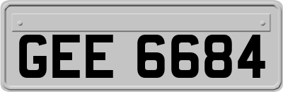 GEE6684