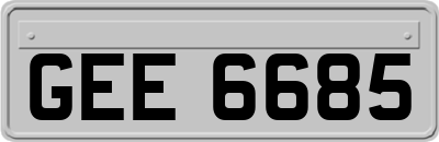 GEE6685