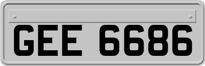 GEE6686