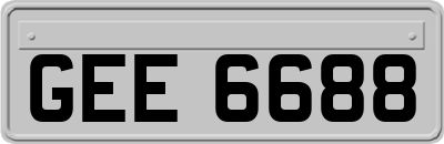 GEE6688