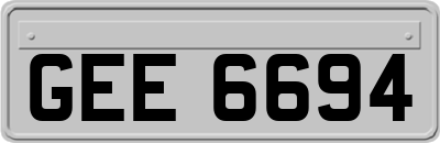 GEE6694