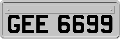GEE6699