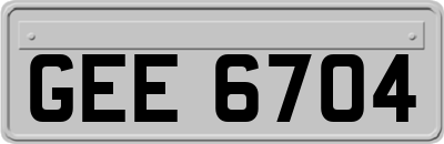 GEE6704