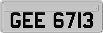 GEE6713