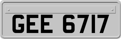 GEE6717