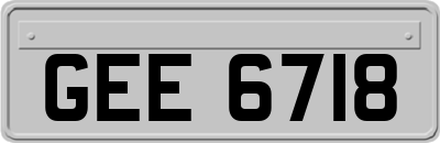 GEE6718