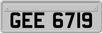 GEE6719