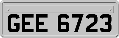 GEE6723
