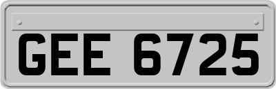 GEE6725