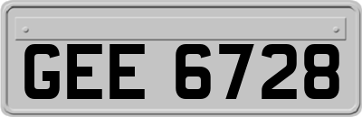 GEE6728