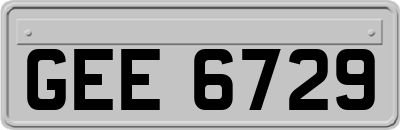 GEE6729