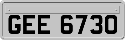 GEE6730