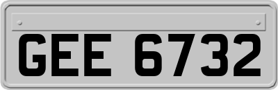 GEE6732