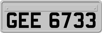 GEE6733