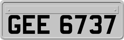 GEE6737