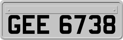 GEE6738