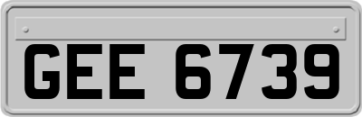 GEE6739