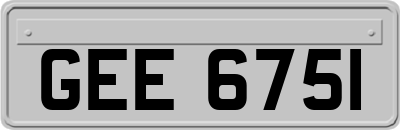 GEE6751
