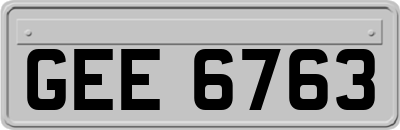 GEE6763