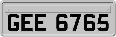 GEE6765
