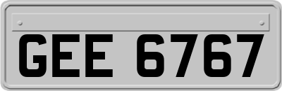 GEE6767