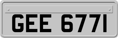 GEE6771