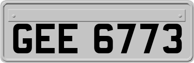 GEE6773