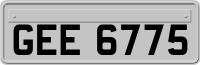 GEE6775