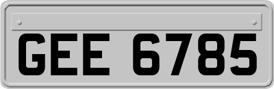 GEE6785