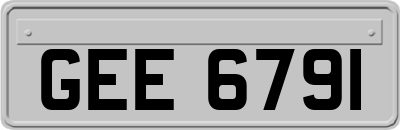 GEE6791