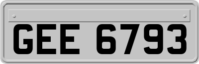 GEE6793