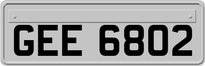 GEE6802