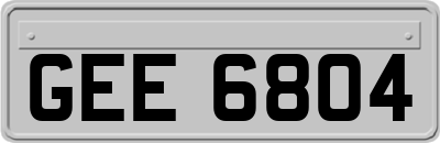 GEE6804