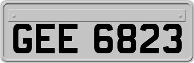 GEE6823