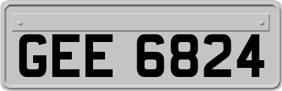 GEE6824