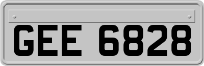 GEE6828