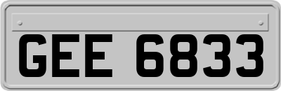 GEE6833