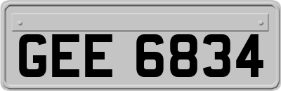 GEE6834
